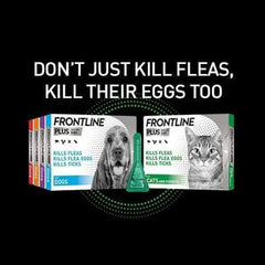 FRONTLINE Plus Flea & Tick Control for Cats & Ferrets – Pack of 6 Pipettes