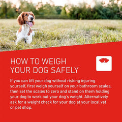 FRONTLINE WORMER - Dog Deworming Tablets - Pack of 2