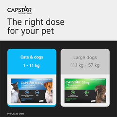 Capstar Fast-Acting Flea Tablet for Large Dogs (11kg–57kg) – Kills Adult Fleas in 6 Hours – Starts Working in 15–30 Minutes – Single Tablet (1 x 57 mg)