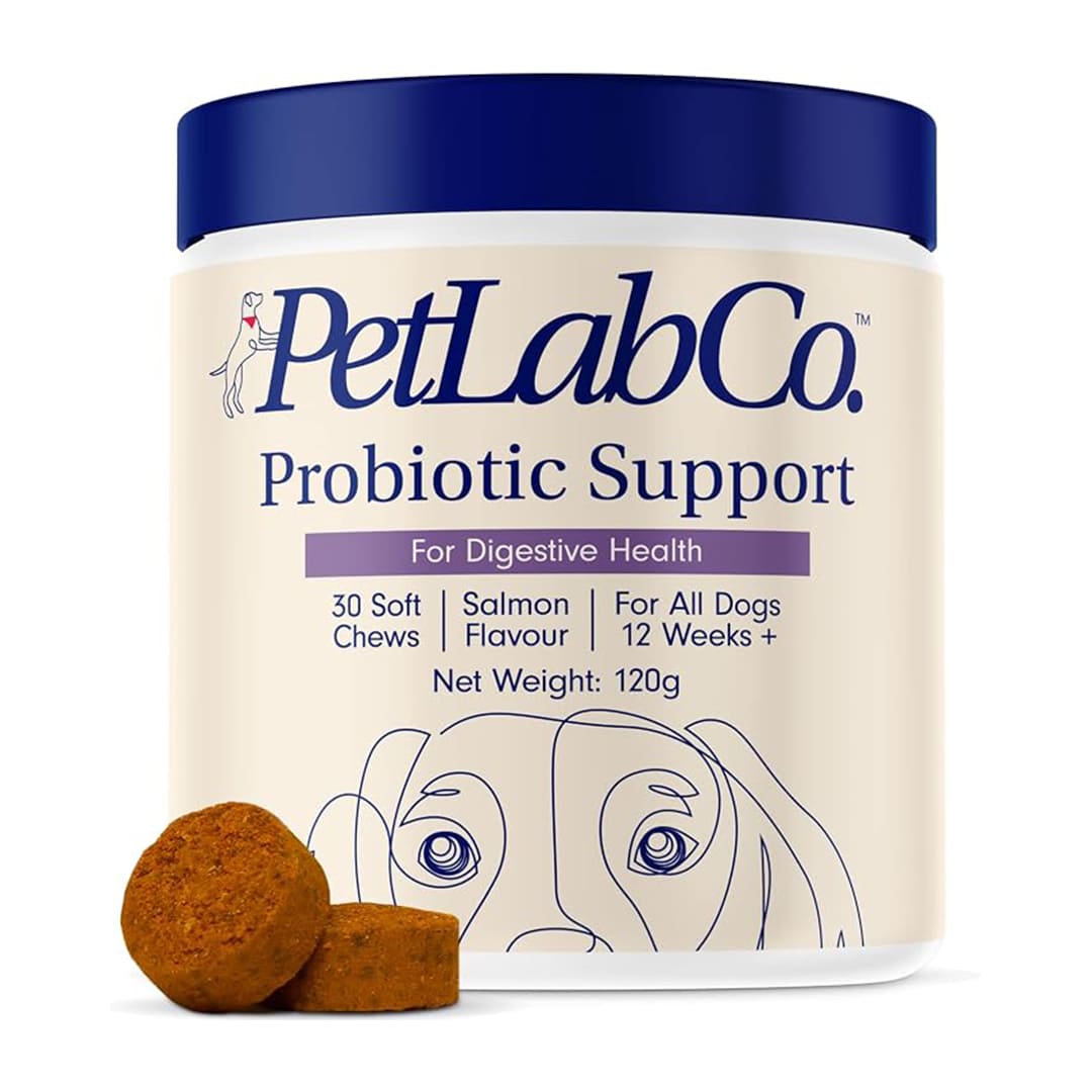 PetLab Co. Probiotics for Dogs – Pack of 1 (30 Soft Chews) – Supports Gut Health, Occasional Diarrhea, Digestive Health & Seasonal Allergies – Salmon Flavour