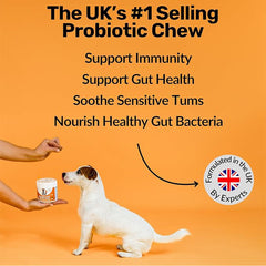 NutriPaw Pre, Pro & Postbiotic Digestive Treats for Dogs – Supports Gut Health, Sensitive Stomachs, Anal Glands, Scooting, Loose Stools & Itchy Ears – For All Breeds