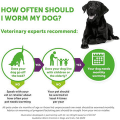 Drontal Tasty Bone XL Wormer Tablets for Large Dogs (Over 20kg) – Single Tablet (1 x Tablet)