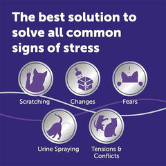 FELIWAY Optimum 30-Day Cat Calming Plug-In Pheromone Diffuser Starter Kit (48ml) – Reduces Stress, Scratching & Spraying – Veterinary Recommended – Drug-Free – Clinically Proven – Covers Up to 70m²