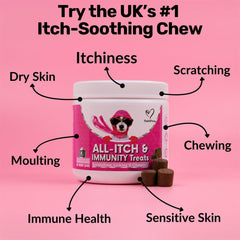 NutriPaw All-Itch Immunity Treats for Dogs – Soothe Itchy Paws, Ears & Skin – Stop Scratching and Licking – For All Breeds and Sizes
