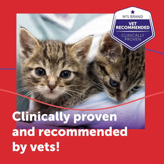 FELIWAY Friends 30-Day Cat Calming Plug-In Pheromone Diffuser Starter Kit (48ml) – Reduces Conflict in Multi-Cat Households – Veterinary Recommended – Clinically Proven – Covers Up to 70m²