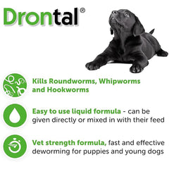 Drontal Puppy Liquid Wormer (100ml) – Oral Suspension for Puppies & Young Dogs Up to 1 Year