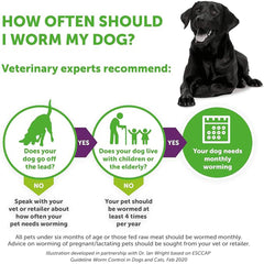 Drontal Tasty Bone Wormer Tablets for Small and Medium Dogs (2 to 20kg) – Pack of 2 Tablets