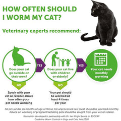 Drontal Wormer Tablet for Small and Medium Cats (Under 4kg) – Single Tablet (1 x Tablet)