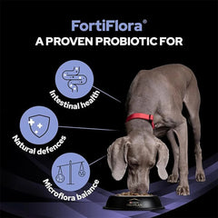 PRO PLAN Fortiflora Probiotic Supplement for Dogs - 30 Individual Sachets of 1g