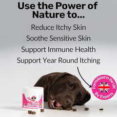 NutriPaw All-Itch Immunity Treats for Dogs – Soothe Itchy Paws, Ears & Skin – Stop Scratching and Licking – For All Breeds and Sizes