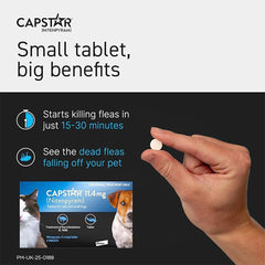 Capstar Fast-Acting Flea Tablet for Cats & Small Dogs (1kg–11kg) – Kills Adult Fleas in 6 Hours – Starts Working in 15–30 Minutes – Single Tablet