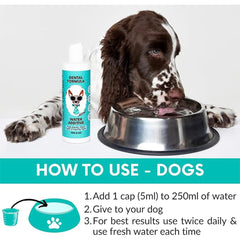 NutriPaw Dental Water Additive for Dogs & Cats – Clean Teeth, Healthy Gums & Fresh Breath – Reduces Plaque & Tartar – No Brushing Needed – Odourless & Tasteless