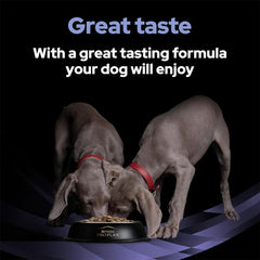 PRO PLAN Fortiflora Probiotic Supplement for Dogs - 30 Individual Sachets of 1g