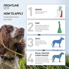 Frontline Plus For Large Dogs (10-20kg) – Pack of 3 Pipettes, Flea & Tick Spot-On Treatment