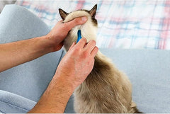 FRONTLINE Spot On Flea & Tick Treatment for Cats – Single Pipette – Kills Fleas in 24 Hours & Ticks – Vet-Strength Formula – Suitable for Cats 1kg+