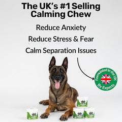 NutriPaw Calming Treats for Dogs – Reduce Anxiety, Barking, Hyperactivity & Stress – Calm Without Drowsiness