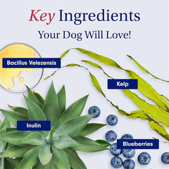 PetLab Co. Probiotics for Dogs – Pack of 1 (30 Soft Chews) – Supports Gut Health, Occasional Diarrhea, Digestive Health & Seasonal Allergies – Salmon Flavour