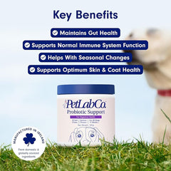 PetLab Co. Probiotics for Dogs – Pack of 1 (30 Soft Chews) – Supports Gut Health, Occasional Diarrhea, Digestive Health & Seasonal Allergies – Salmon Flavour