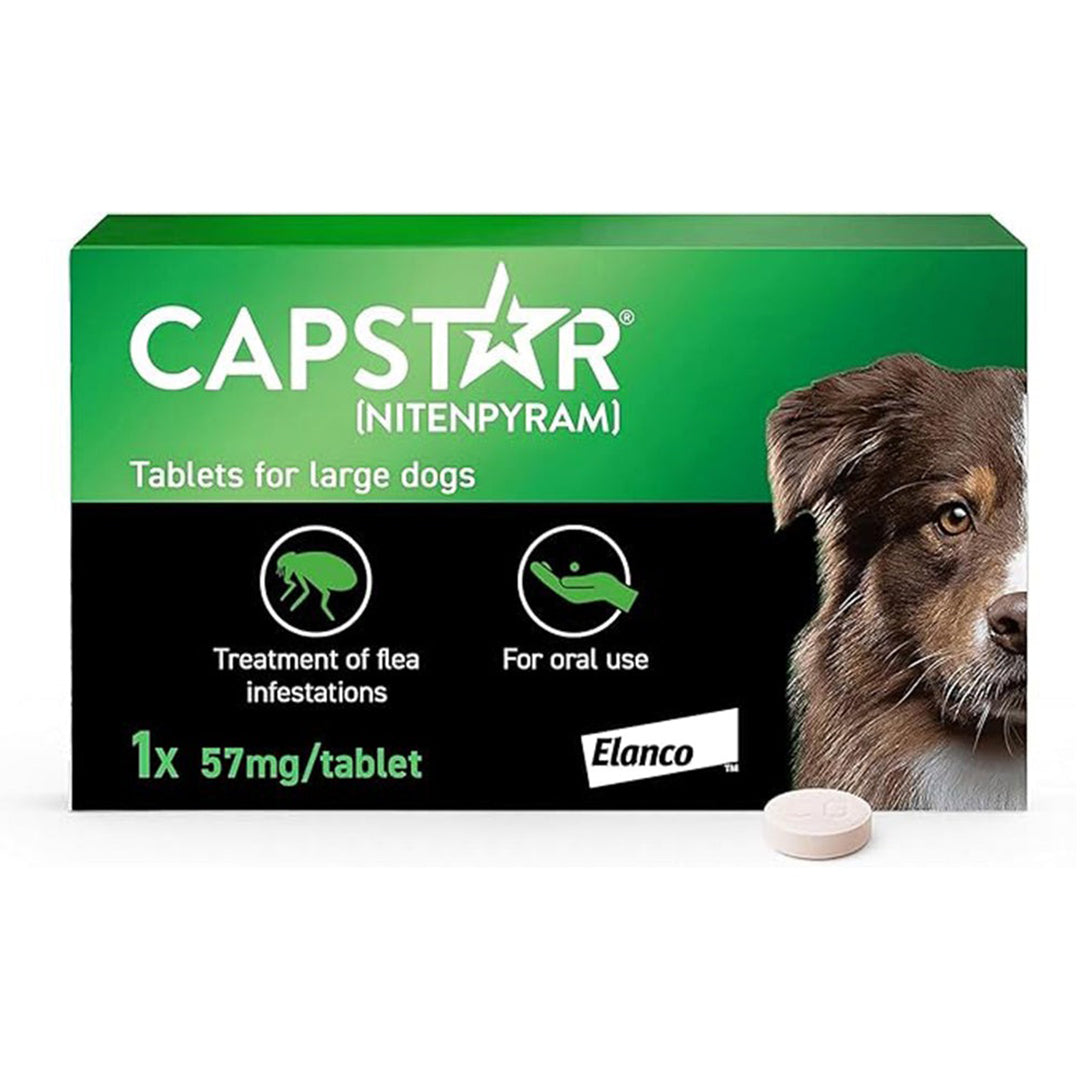 Capstar Fast-Acting Flea Tablet for Large Dogs (11kg–57kg) – Kills Adult Fleas in 6 Hours – Starts Working in 15–30 Minutes – Single Tablet (1 x 57 mg)