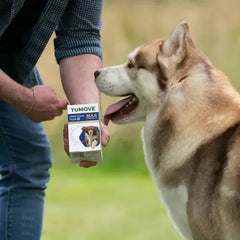 YuMOVE Joint Care Plus Max Strength for Dogs - 50 Percent Stronger Joint Support - 120 Tablets